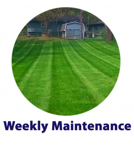 weekly-maintenance
